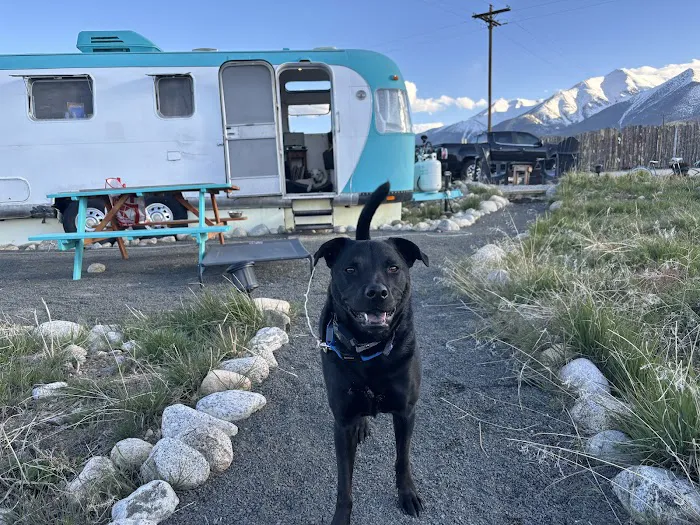 Big Thompson Animal Hospital Picture 6