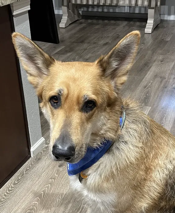 Loveland Veterinary Clinic Picture 6