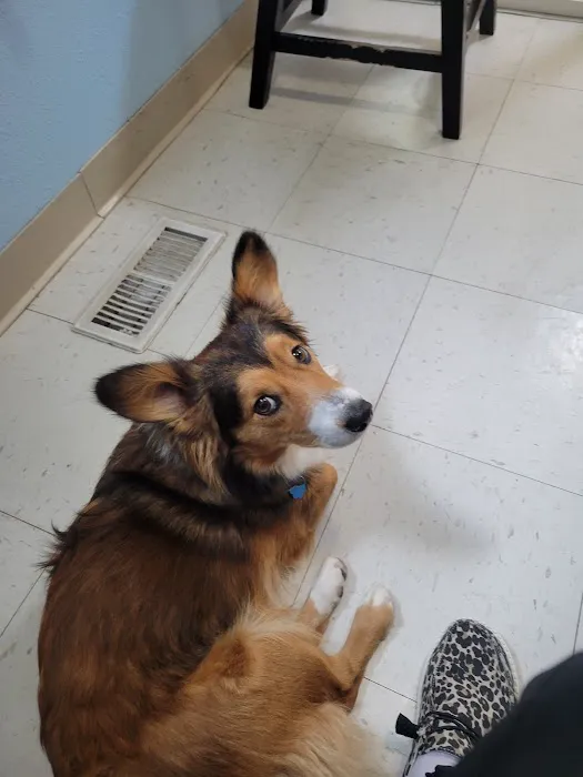 Full Circle Veterinary Care Picture 3