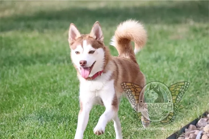 Full Circle Veterinary Care Picture 9
