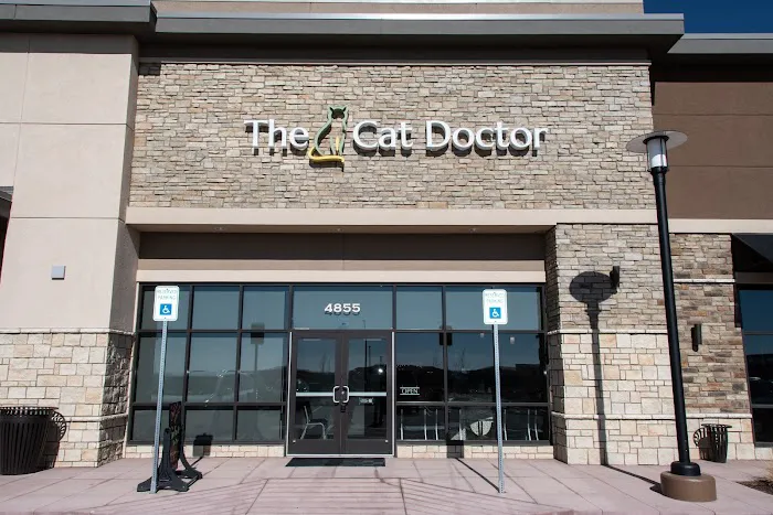 The Cat Doctor Picture 10