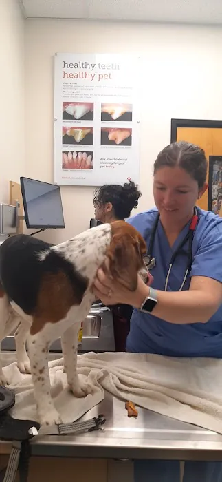 Banfield Pet Hospital Picture 2