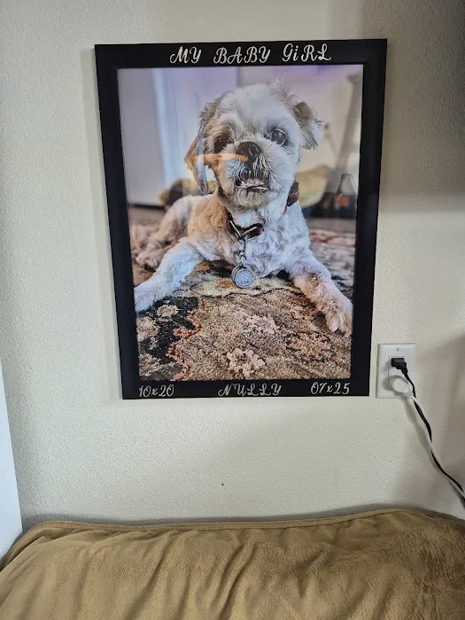Boyd Lake Veterinary Center Picture 6