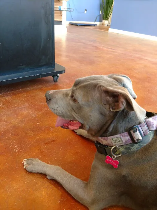 VCA Milliken Animal Hospital Picture 3