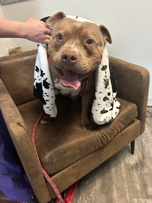 VCA Milliken Animal Hospital Picture 8