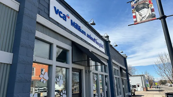 VCA Milliken Animal Hospital Picture 6