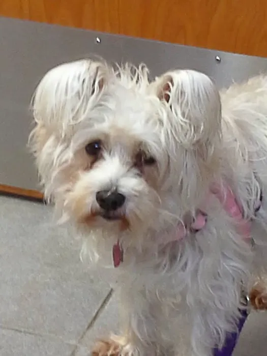 Lyons Vet Clinic Picture 6