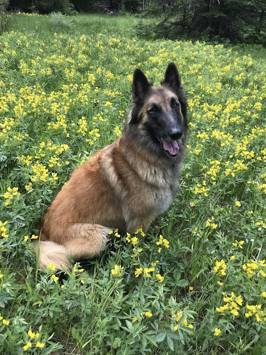 Lyons Vet Clinic Picture 7