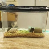 Clayton Valley Pet Hospital ico