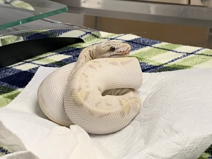 Clayton Valley Pet Hospital Picture 5