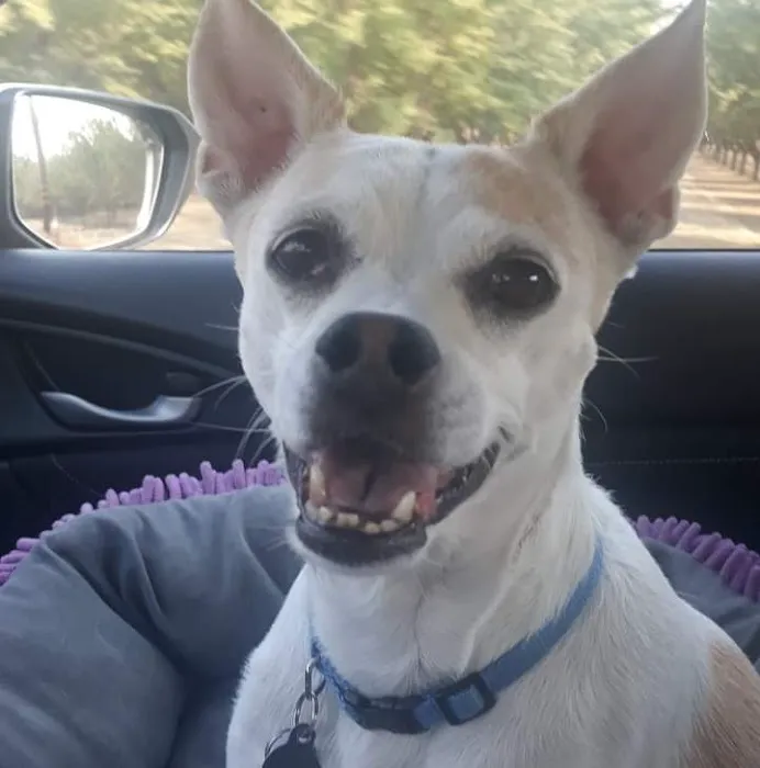 Clayton Valley Pet Hospital Picture 7