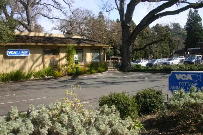 VCA Cottage Animal Hospital Picture 8