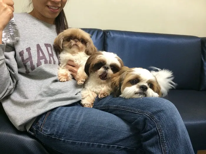 VCA Encina Veterinary Medical Center Picture 5
