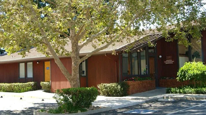 VCA Encina Veterinary Medical Center Picture 9