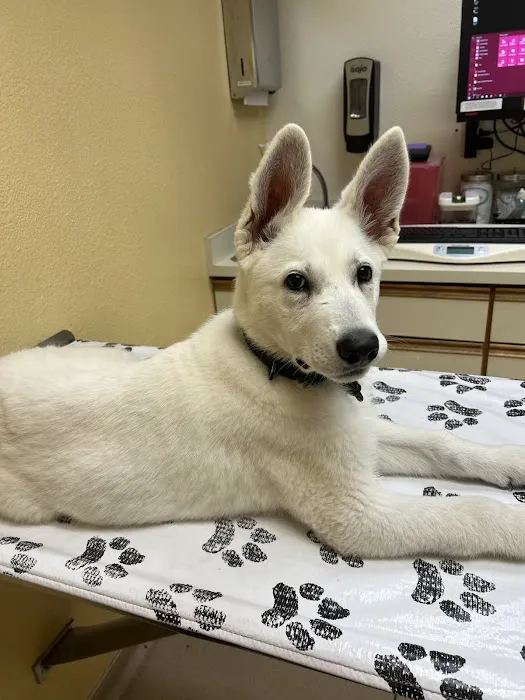 Lafayette Animal Hospital Picture 3