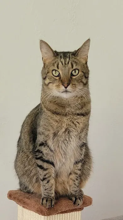 Lafayette Animal Hospital Picture 4