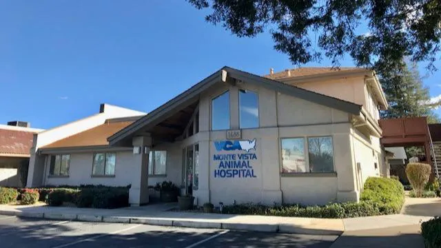 VCA Monte Vista Animal Hospital Picture 2