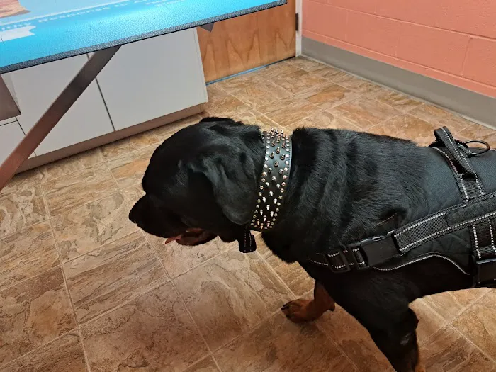 Tender Care Veterinary Clinic Picture 1