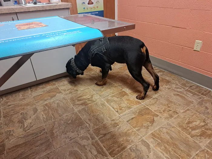 Tender Care Veterinary Clinic Picture 3