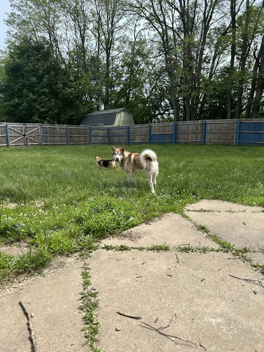 Two By Two Animal Hospital Picture 1