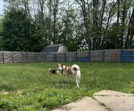 Two By Two Animal Hospital