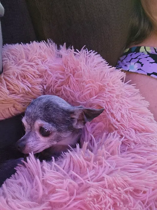 Two By Two Animal Hospital Picture 5