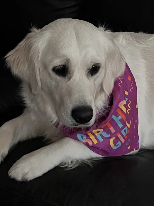 Wil-O-Paw Animal Hospital Picture 1