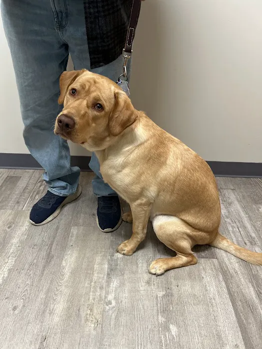 Wil-O-Paw Animal Hospital Picture 2
