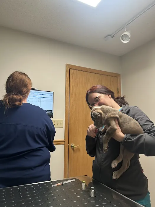 Wil-O-Paw Animal Hospital Picture 5