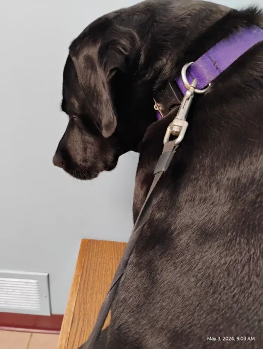 Red Arrow Animal Clinic Picture 4