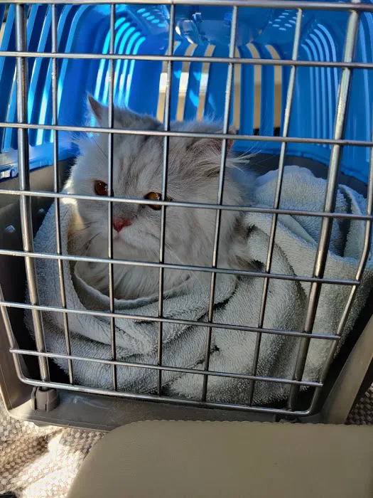 Red Arrow Animal Clinic Picture 8