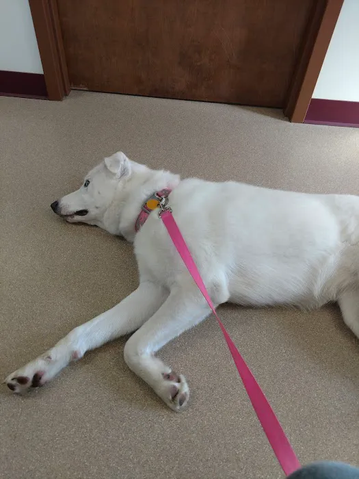 Red Arrow Animal Clinic Picture 7