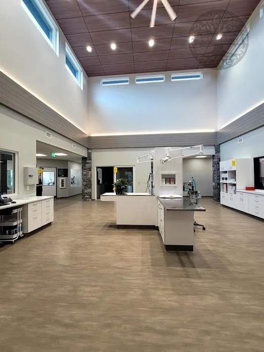 Paw Paw Veterinary Clinic Picture 4