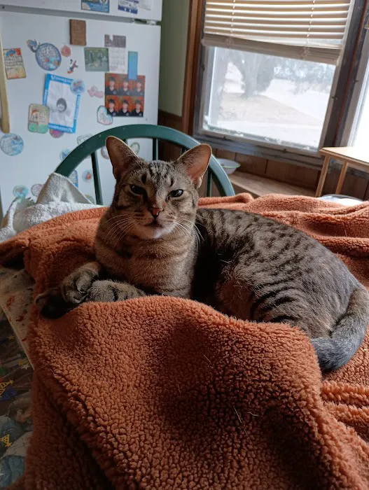 Paw Paw Veterinary Clinic Picture 1