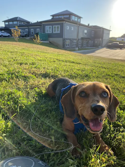 Paw Paw Veterinary Clinic Picture 6