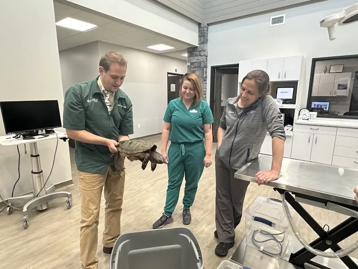 Paw Paw Veterinary Clinic Picture 9