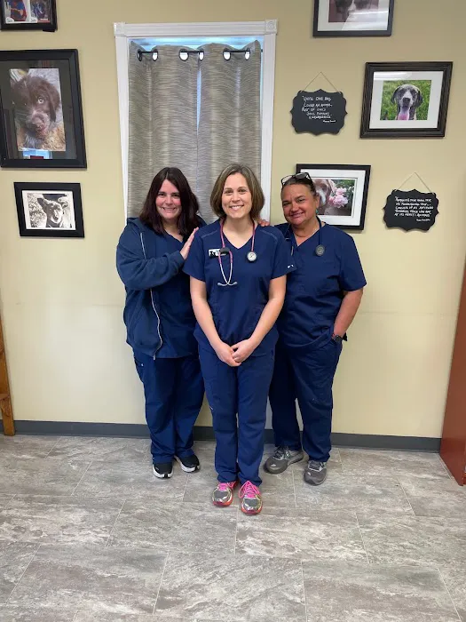 Family Pet Health Center Picture 10