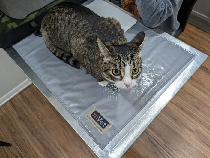 Mattawan Animal Hospital Picture 2