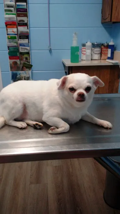 Clayview Animal Clinic Picture 7
