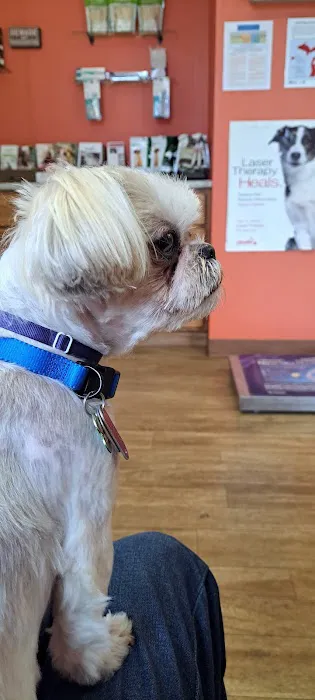 Eighth Street Veterinary Care Picture 10