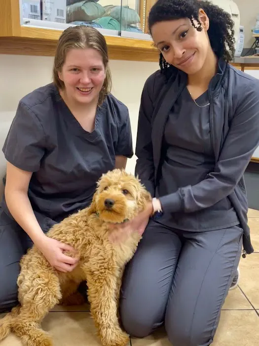 Pet Vet Family Pet Care Center Picture 8