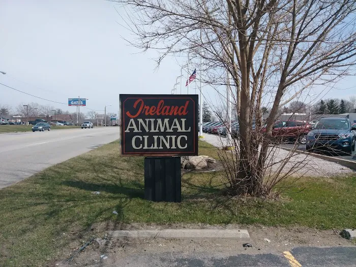 Ireland Animal Clinic LLC Picture 7