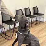 Preventative Pet Health of Michiana