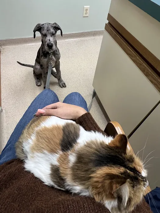 Williamston Animal Clinic Picture 1