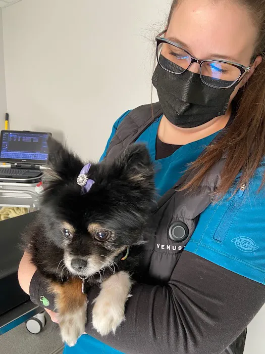 Animal Ultrasound Services, Inc Picture 10