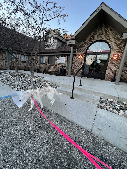 Greater Lansing Veterinary Center Picture 9