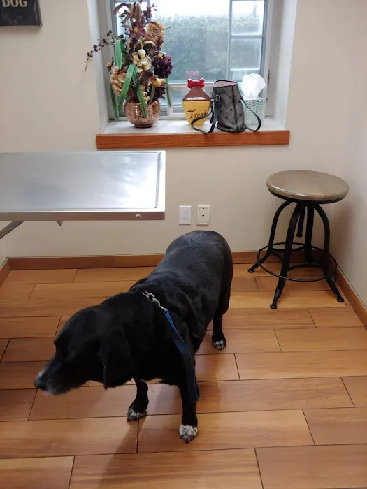 Livingston Veterinary Clinic Picture 9