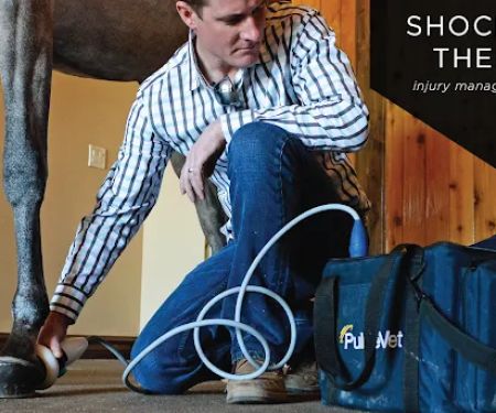 Equine Athlete Veterinary Services