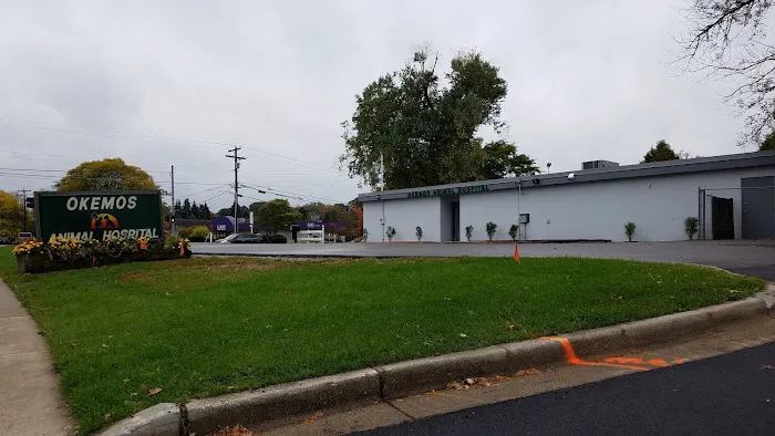 Okemos Animal Hospital Picture 3