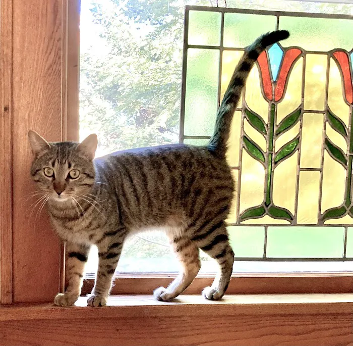 Evergreen Veterinary Clinic Picture 4
